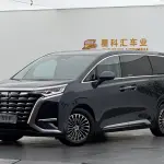 Denza Denza D9 2024 из Китая