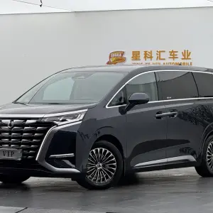 Denza Denza D9 2024 из Китая