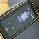 Denza Denza D9 2024 из Китая