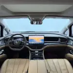 Denza Denza D9 2024 из Китая