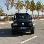 Tank Tank 300 2022 227 л.с. — лот 56838643 из Китая