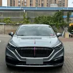 Hongqi Hongqi H5 2021 197 л.с. 197 л.с. из Китая