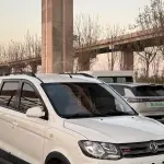 Fengguang Fengguang 370 2017 из Китая