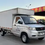 Wuling Rongguang New Truck 2020 из Китая