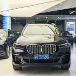 BMW X5 2022 245 л.с. 245 л.с. из Китая