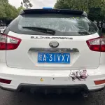 BYD S6 2012 из Китая