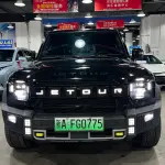 Shanhai 捷途旅行者C-DM 2024 из Китая