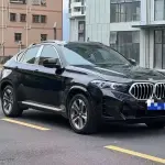 BMW X6 2010 из Китая
