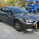 GAC Motor Shadow Leopard 2022 177 л.с. из Китая