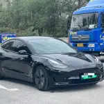 Tesla Model 3 2021 лот 56652055 из Китая