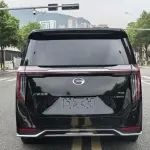 GAC Motor Trumpchi M8 2025 из Китая