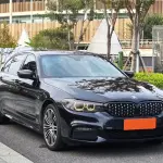 BMW 5 Series 2019 252 л.с. — лот 56697446 из Китая