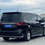 大通 G20 2022 из Китая