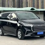大通 G20 2022 из Китая
