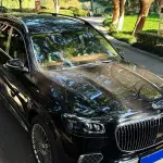 Mercedes-Benz GLS 2023 367 л.с. — лот 56974171 из Китая