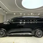 Denza Denza D9 2023 из Китая