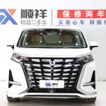 Denza Denza D9 2022 из Китая
