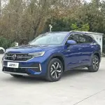 Volkswagen GTE PHEV 2024 из Китая