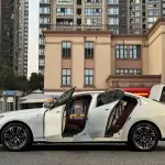 BMW 5 Series 2024 из Китая