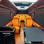 Hongqi 红旗金葵花国悦 из Китая