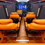 Hongqi 红旗金葵花国悦 из Китая