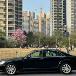 Mercedes-Benz S-Class 2010 272 л.с. 272 л.с. из Китая