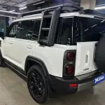 Haval Menglong New Energy 2025 из Китая