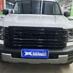 Haval Menglong New Energy 2025 из Китая