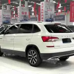 Skoda Kamiq 2021 112 л.с. из Китая