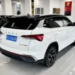 Skoda Kamiq 2022 из Китая