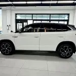 Skoda Kamiq 2022 из Китая