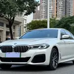 BMW 5 Series New Energy 2021 из Китая
