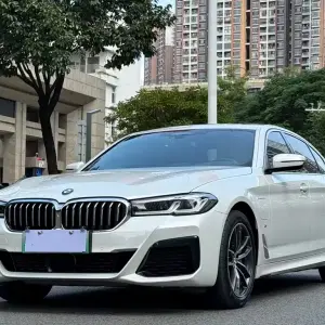 BMW 5 Series New Energy 2021 из Китая