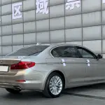 BMW 5 Series 2018 252 л.с. — лот 57593380 из Китая