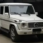 Mercedes-Benz G-Class AMG 2010 из Китая