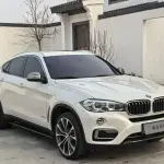 BMW X6 2018 306 л.с. 306 л.с. из Китая