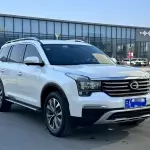 GAC Motor Trumpchi GS8 2020 201 л.с. из Китая