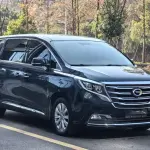 GAC Motor Trumpchi M8 2018 201 л.с. 201 л.с. из Китая