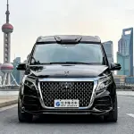 Yasheng Yasheng V-Class 2023 из Китая