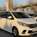大通 G10 2019 150 л.с. из Китая
