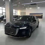 Hongqi Hongqi H5 2023 из Китая