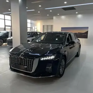 Hongqi Hongqi H5 2023 из Китая