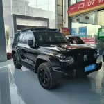 Tank Tank 300 2022 из Китая
