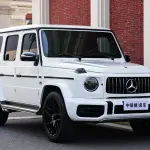 Mercedes-Benz G-Class 2020 из Китая