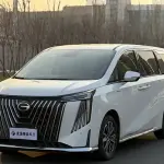 GAC Motor Trumpchi M8 2024 из Китая