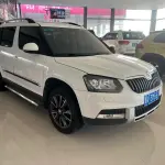 Skoda Yeti 2015 из Китая