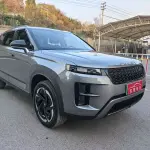 Chery 瑞虎7 C-DM 2025 из Китая