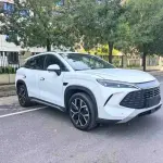 BYD L DM-i 2025 из Китая