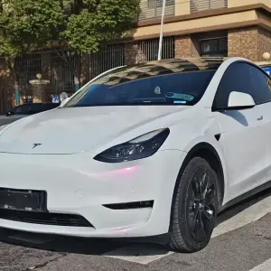 Tesla Model Y 2021 из Китая