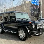 Mercedes-Benz G-Class AMG 2010 из Китая